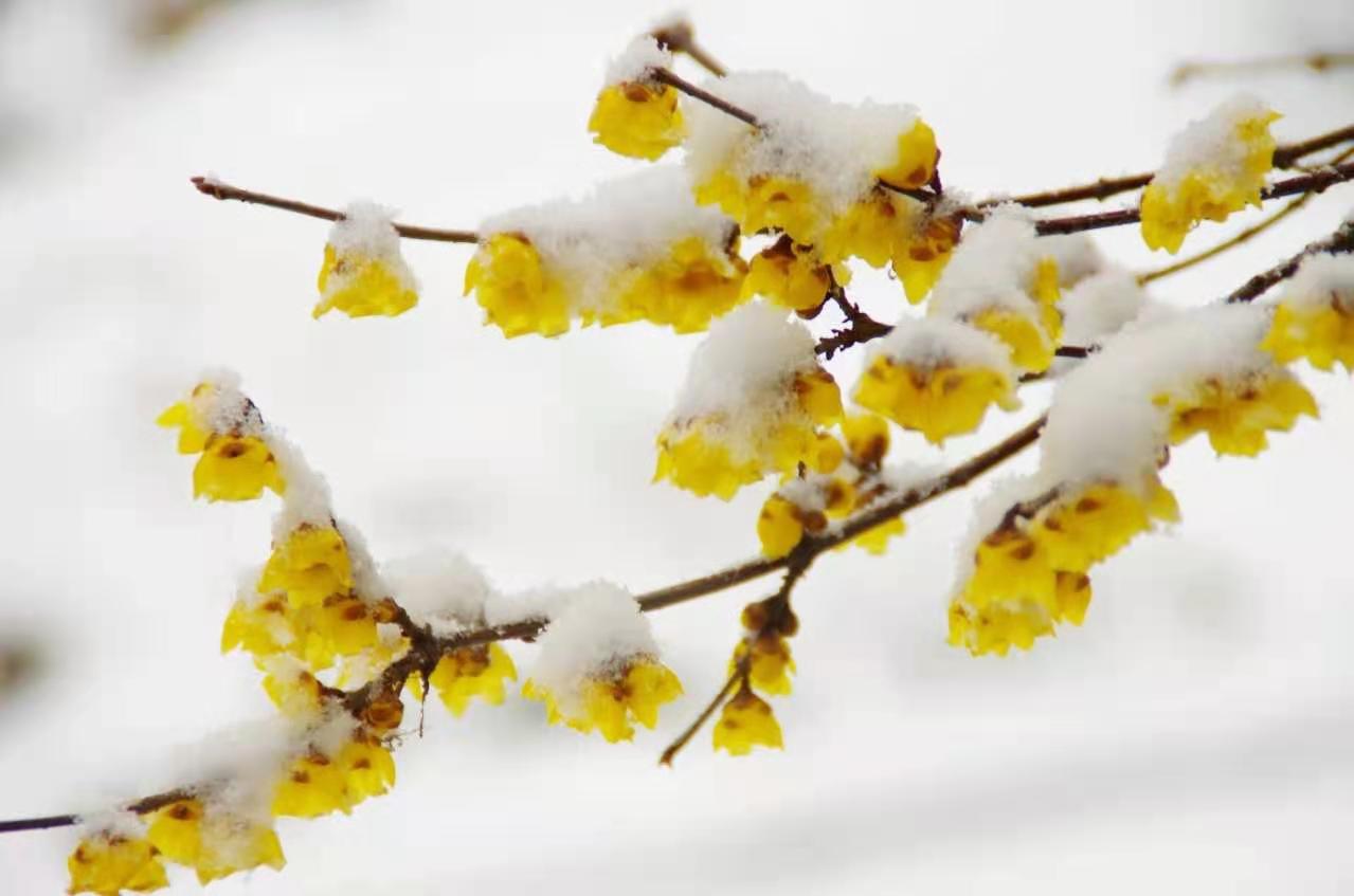 20201229160921071450.jpg 生機.jpg